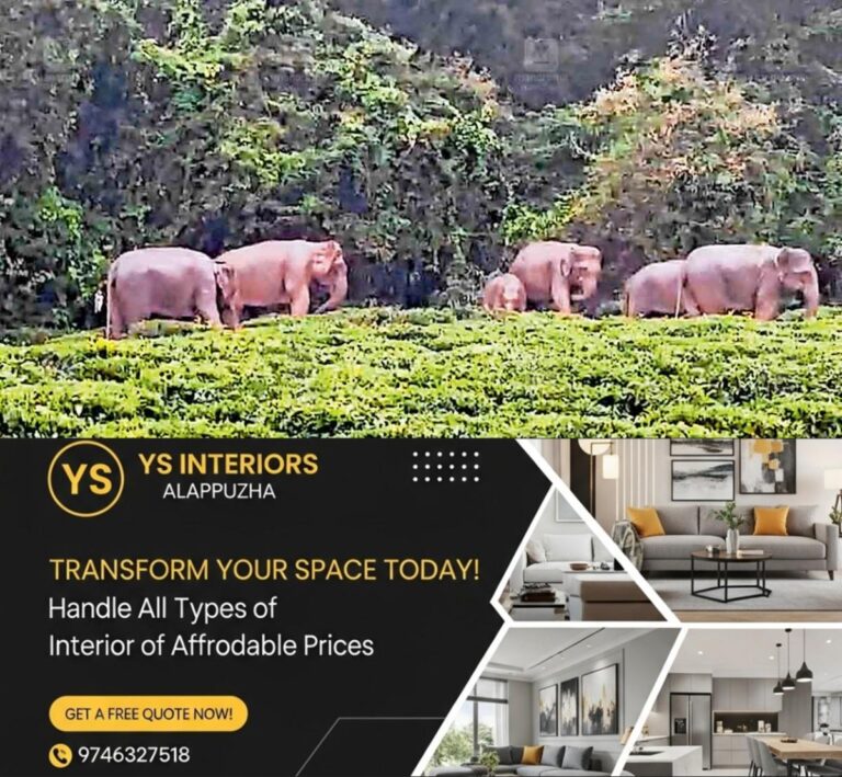 newskerala.net_1753255439_wayanad-kseb-office-near-elephant
