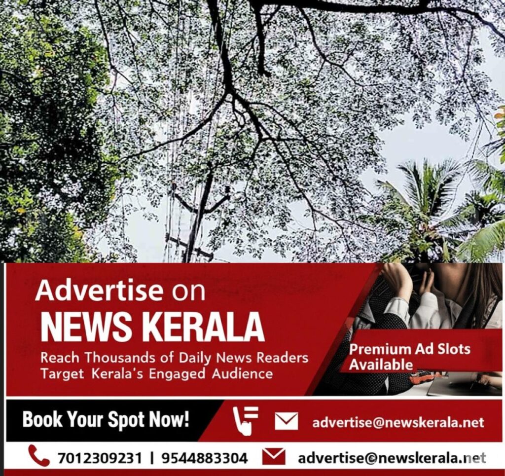 newskerala.net_1753260022_kozhikode-ht-electric-line
