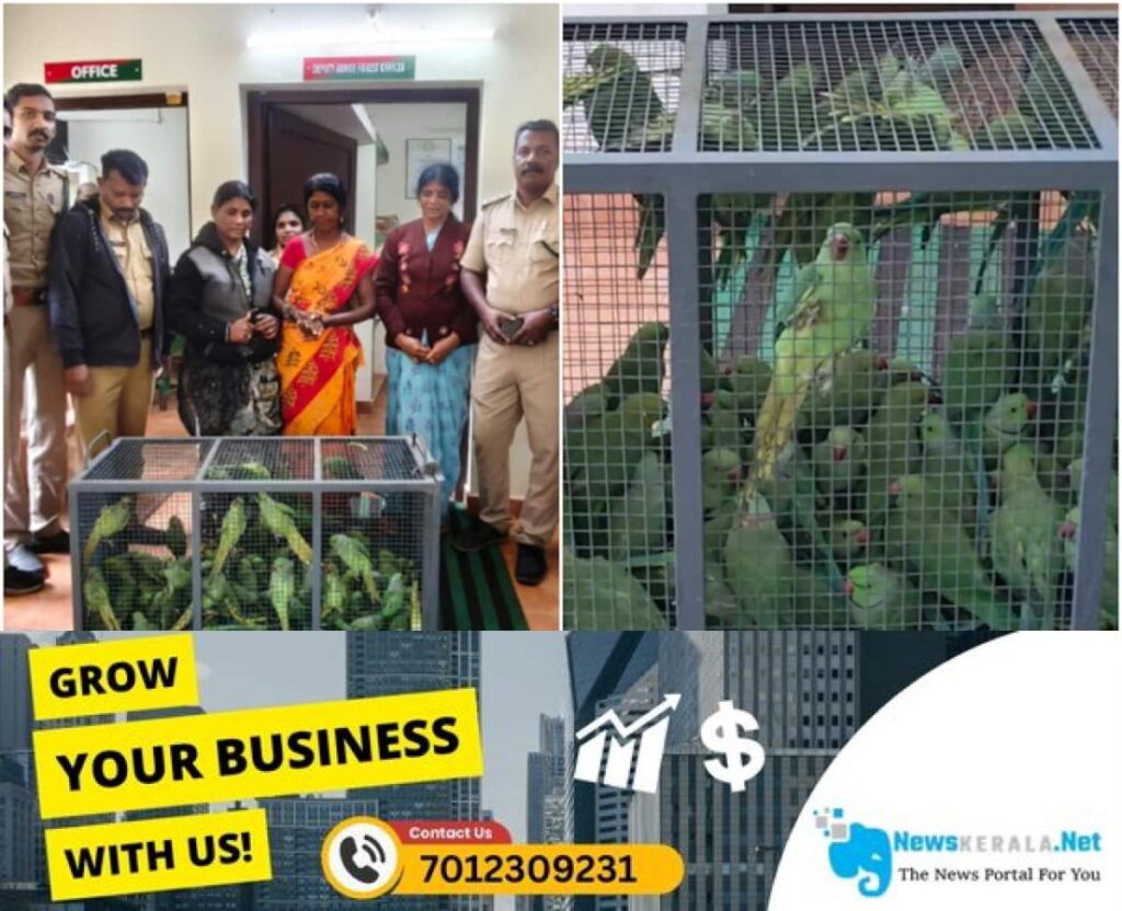 newskerala.net_1753270976_parrots-1753269836559_1280x720xt