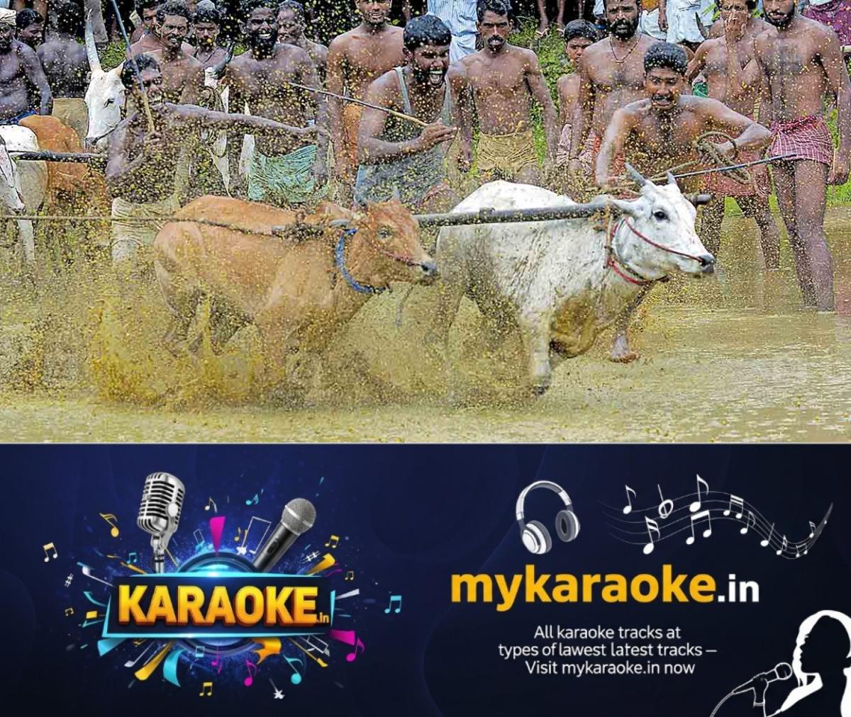 newskerala.net_1753338393_pathanamthitta-anadapally-maramady
