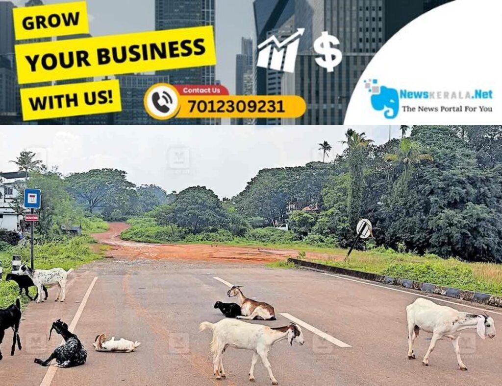 newskerala.net_1753338654_seaport-road
