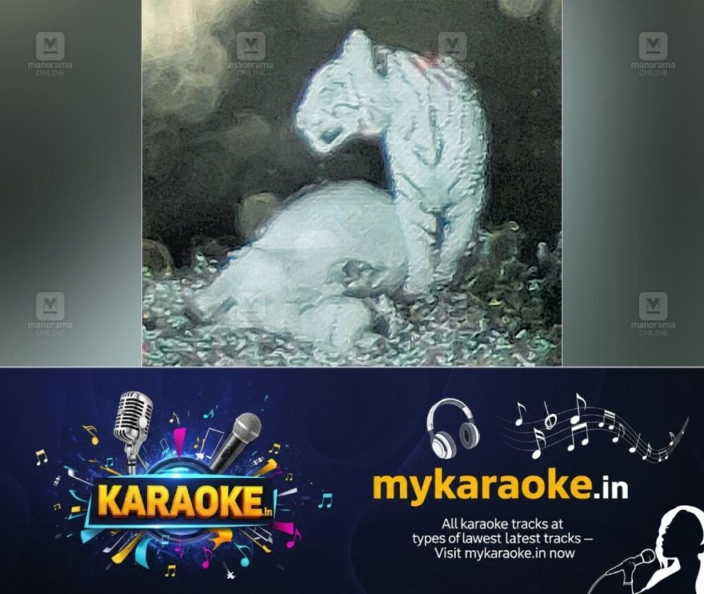 newskerala.net_1753342535_tiger-attack