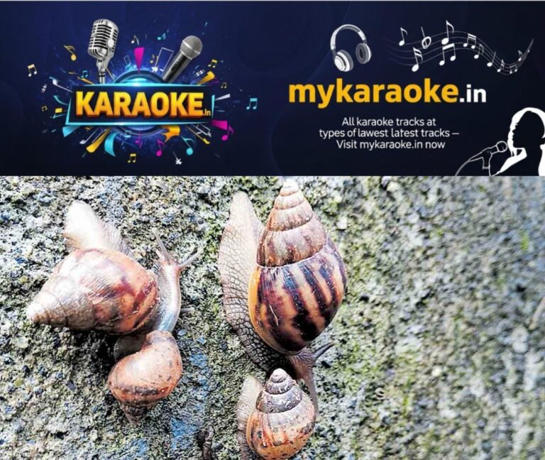 newskerala.net_1753362958_pathanamthitta-african-snail