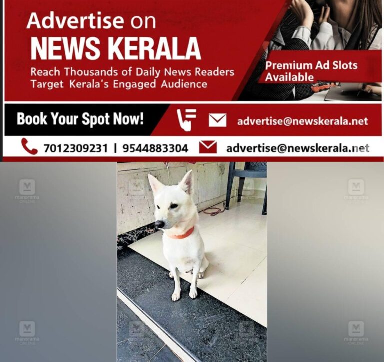 newskerala.net_1753413859_1753413608_dog