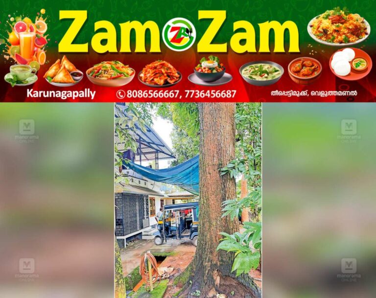 newskerala.net_1753421899_panamaram-tree-issue