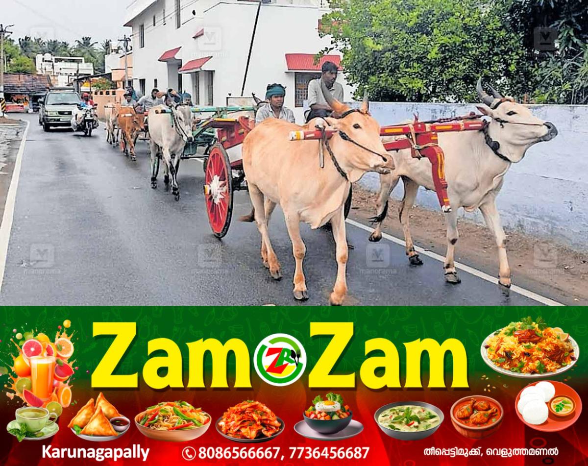 newskerala.net_1753429335_idukki-marayoor-bullrock-cart