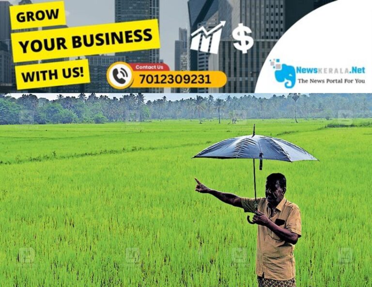 newskerala.net_1753433468_paddy
