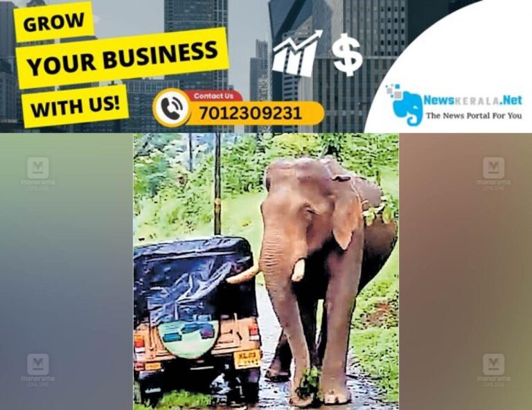 newskerala.net_1753441482_1753441226_wild-elephant1