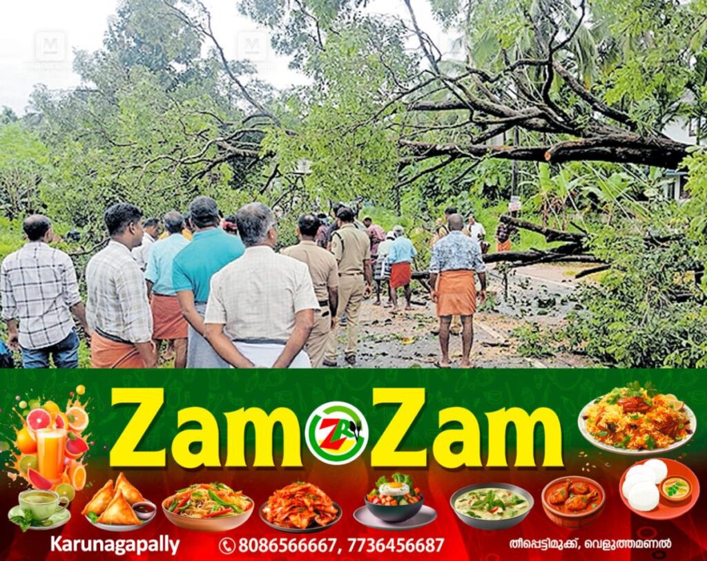 newskerala.net_1753505819_kasaragod-trees-fall-roads-blocked