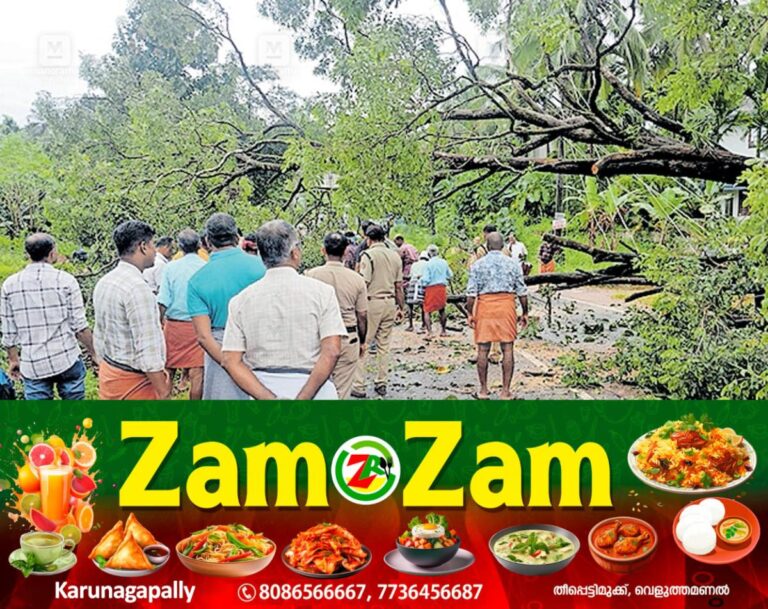 newskerala.net_1753505819_kasaragod-trees-fall-roads-blocked
