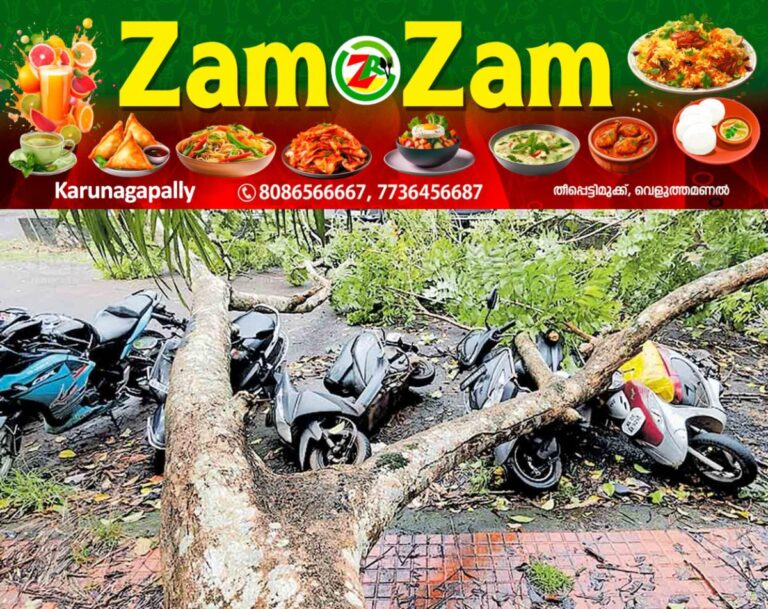 newskerala.net_1753506919_kottayam-vaikom-road-tree-accident