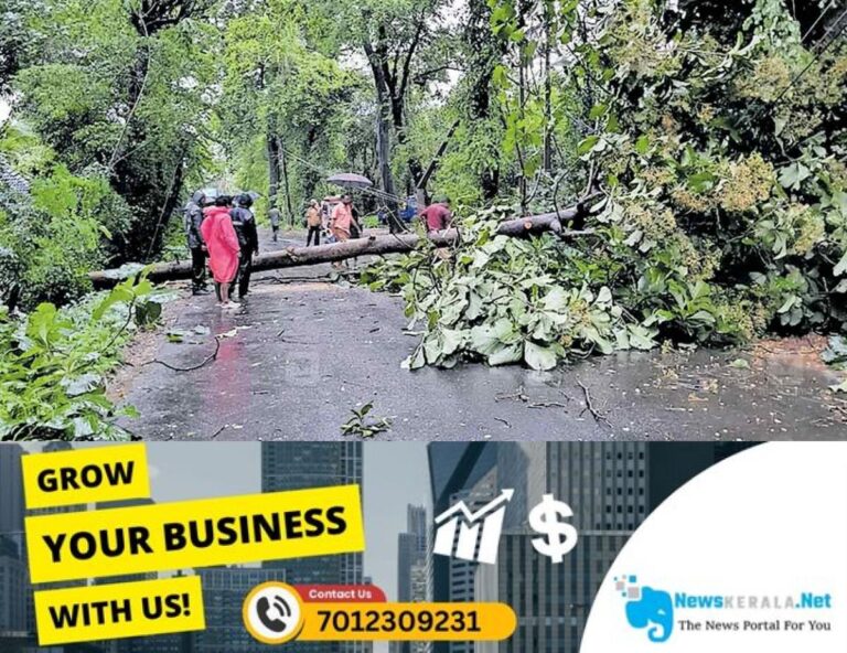 newskerala.net_1753524915_chittadiyil-rain-damage