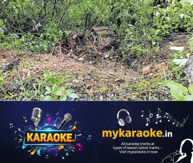 newskerala.net_1753529413_idukki-periyavara-kavala-road-wall-issue