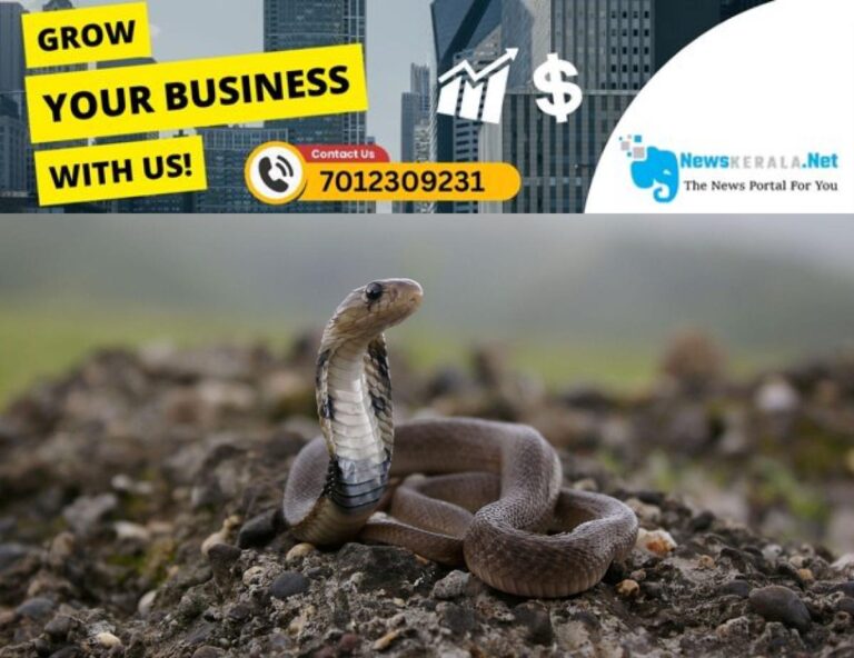 newskerala.net_1753534006_eight-year-old-boy-bites-cobra-snake-to-death-in-chhattisgarh