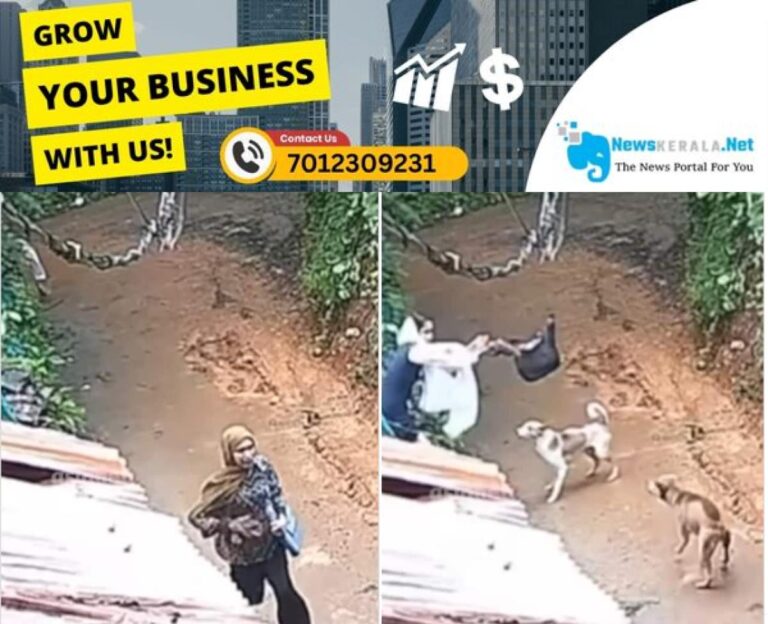 newskerala.net_1753561774_nadapuram-dog-1753560844888_1280x720xt