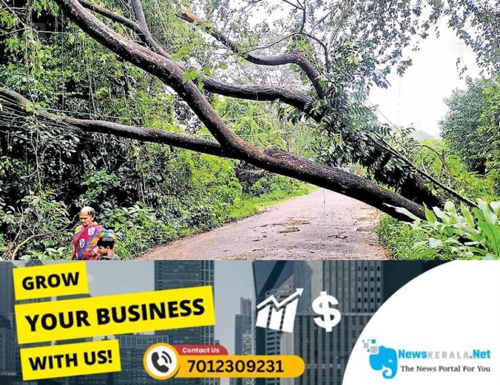 newskerala.net_1753591841_vaikom-rain-damage-1