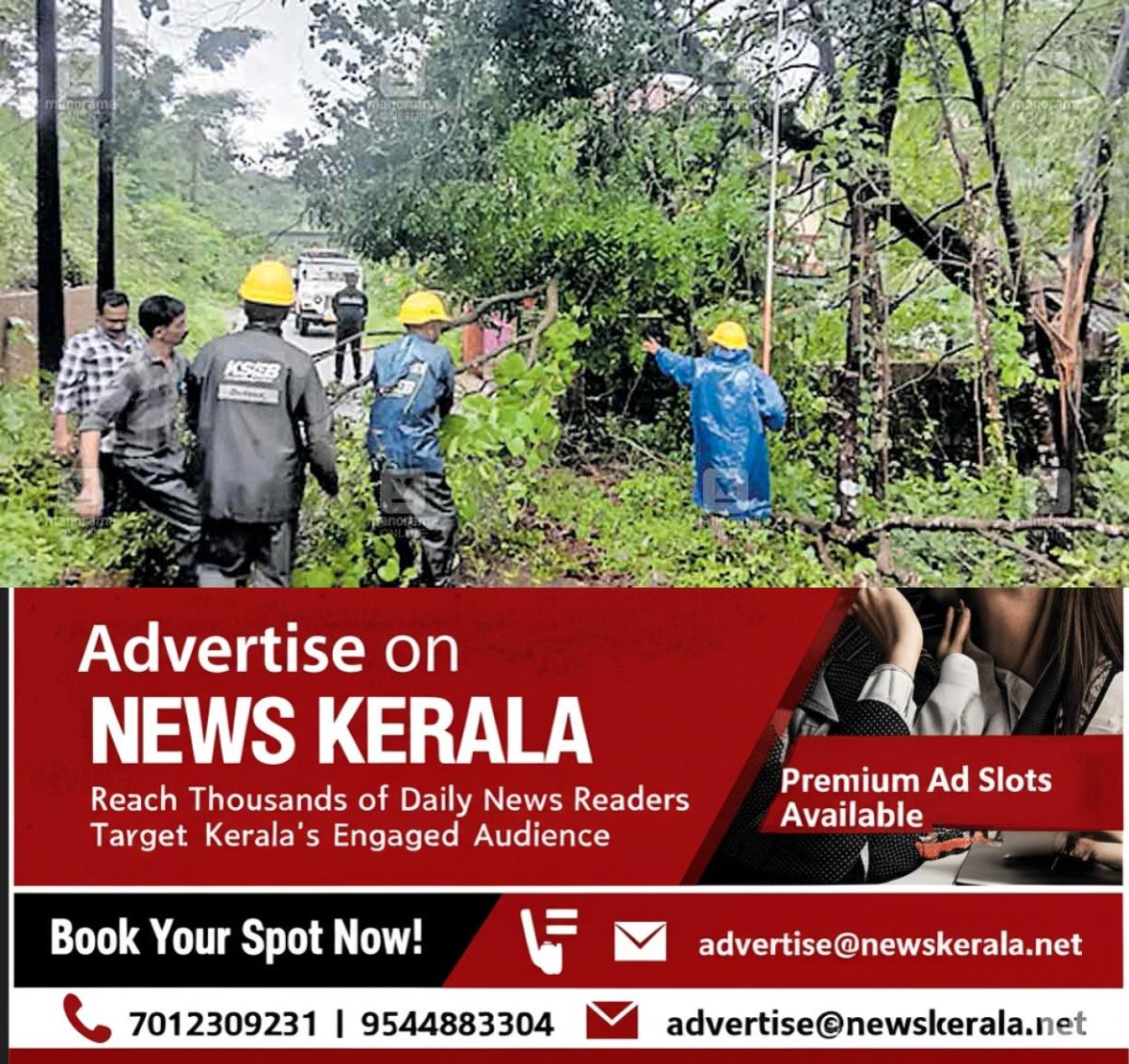 newskerala.net_1753598959_karivellur-tree-cutting