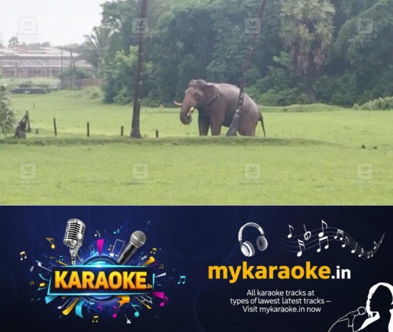 newskerala.net_1753609477_pt-5-elephant-1