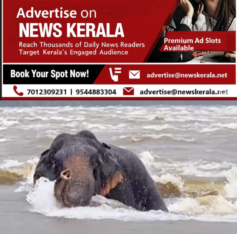 newskerala.net_1753628657_elephant-1753627975814_1280x720xt