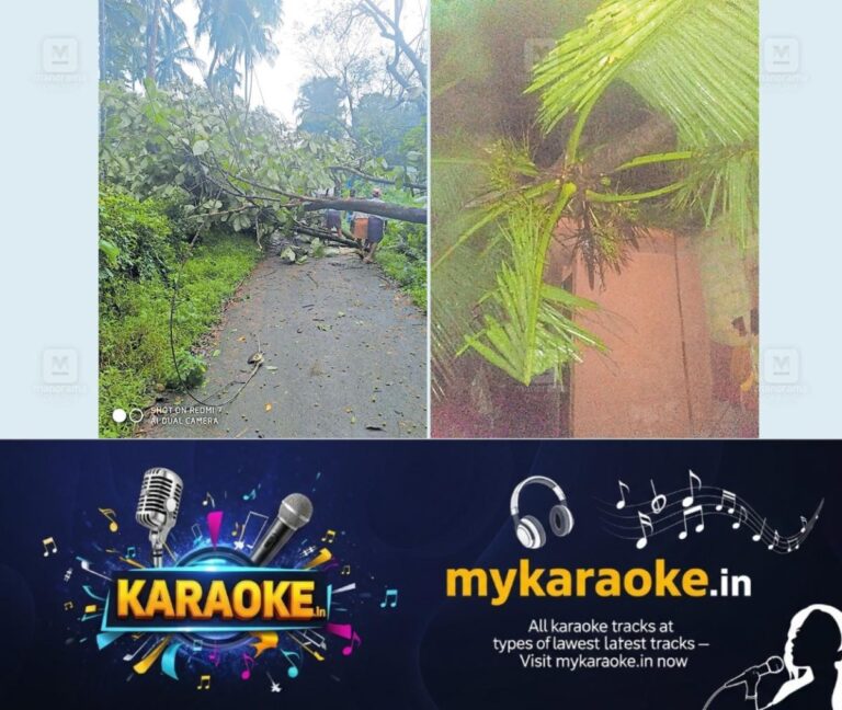 newskerala.net_1753677058_thamarasseri-heavy-rain-storm1