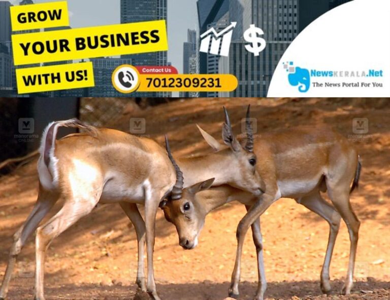newskerala.net_1753680981_deer-thiruvananthapuram-zoo