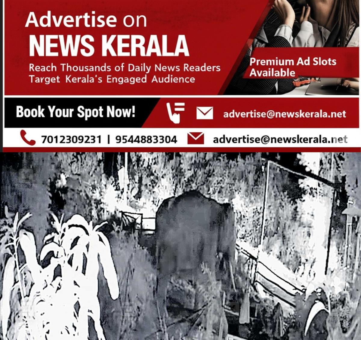 newskerala.net_1753690506_1753690195_wild-elephant
