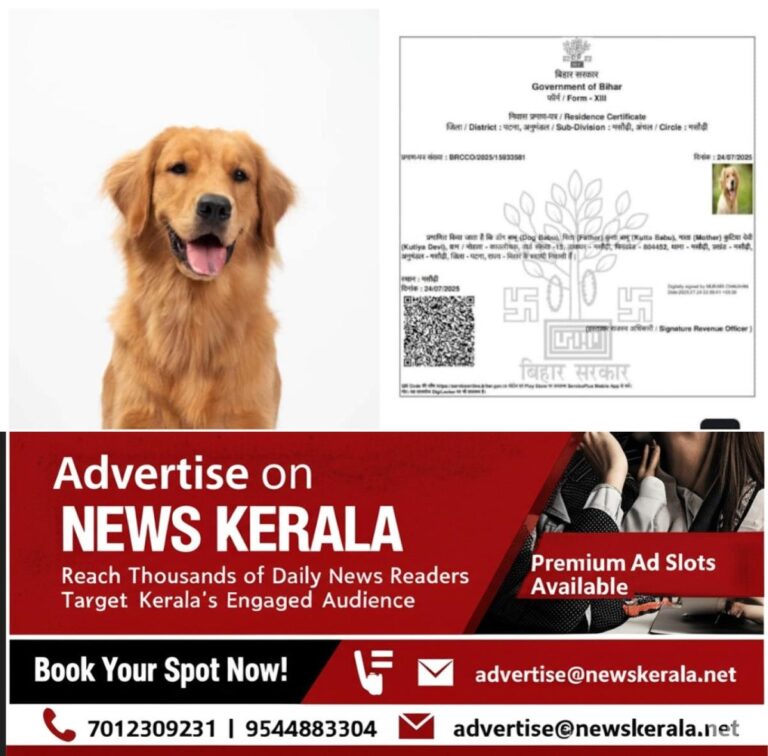 newskerala.net_1753692372_dog-babu-gets-residence-certificate-in-bihar-1753691230132_1280x720xt