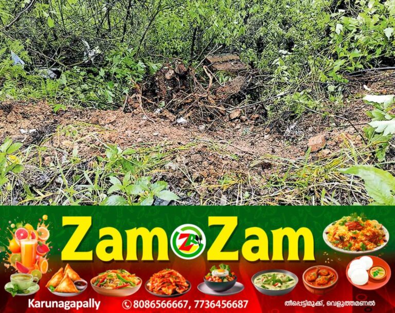 newskerala.net_1753693251_road-safety-issues