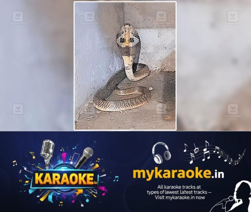 newskerala.net_1753731898_karaduka-cobra