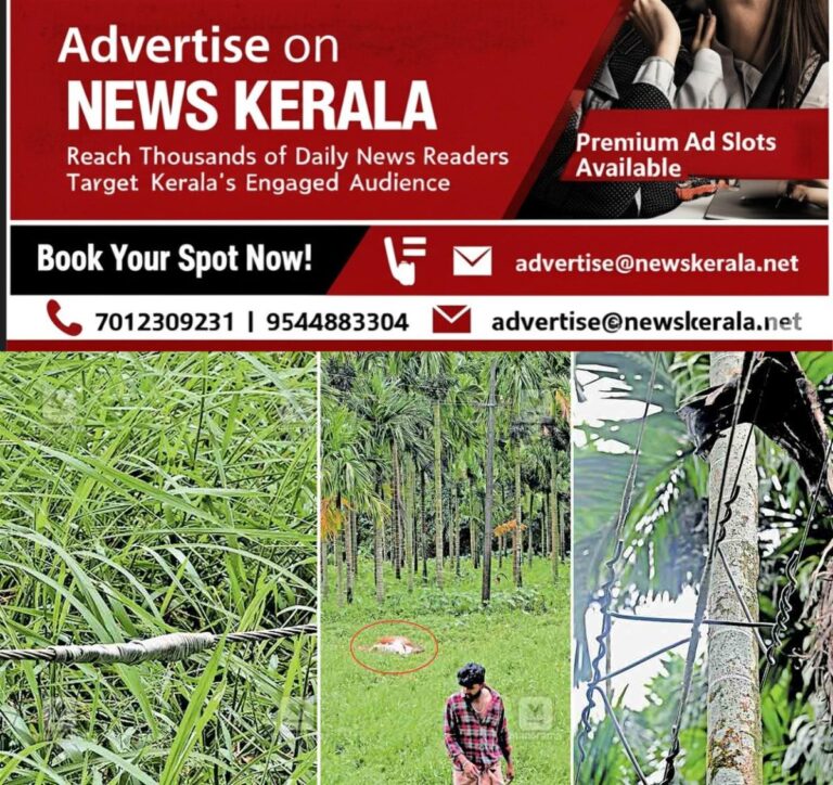 newskerala.net_1753748634_elecric-shock