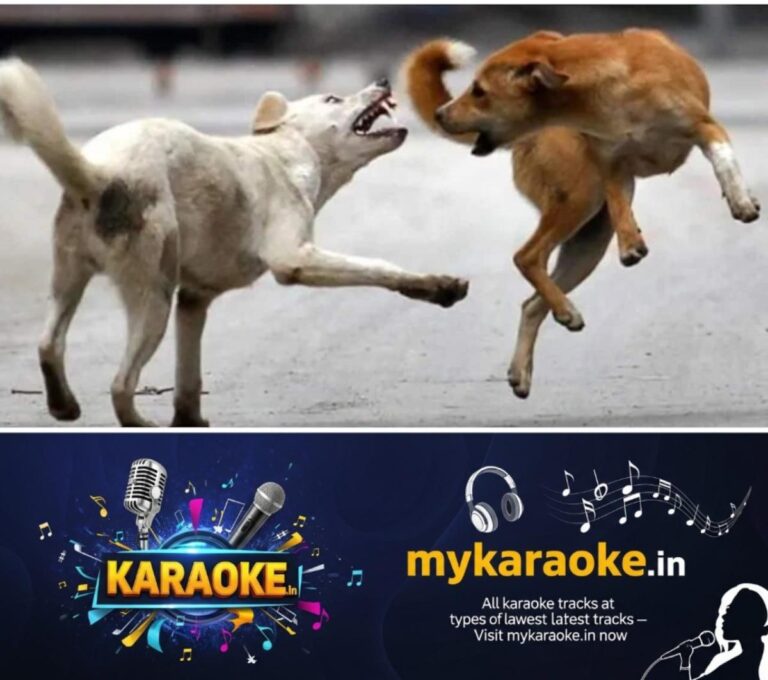 newskerala.net_1753756402_stray-dog-attack-1-_1280x720xt