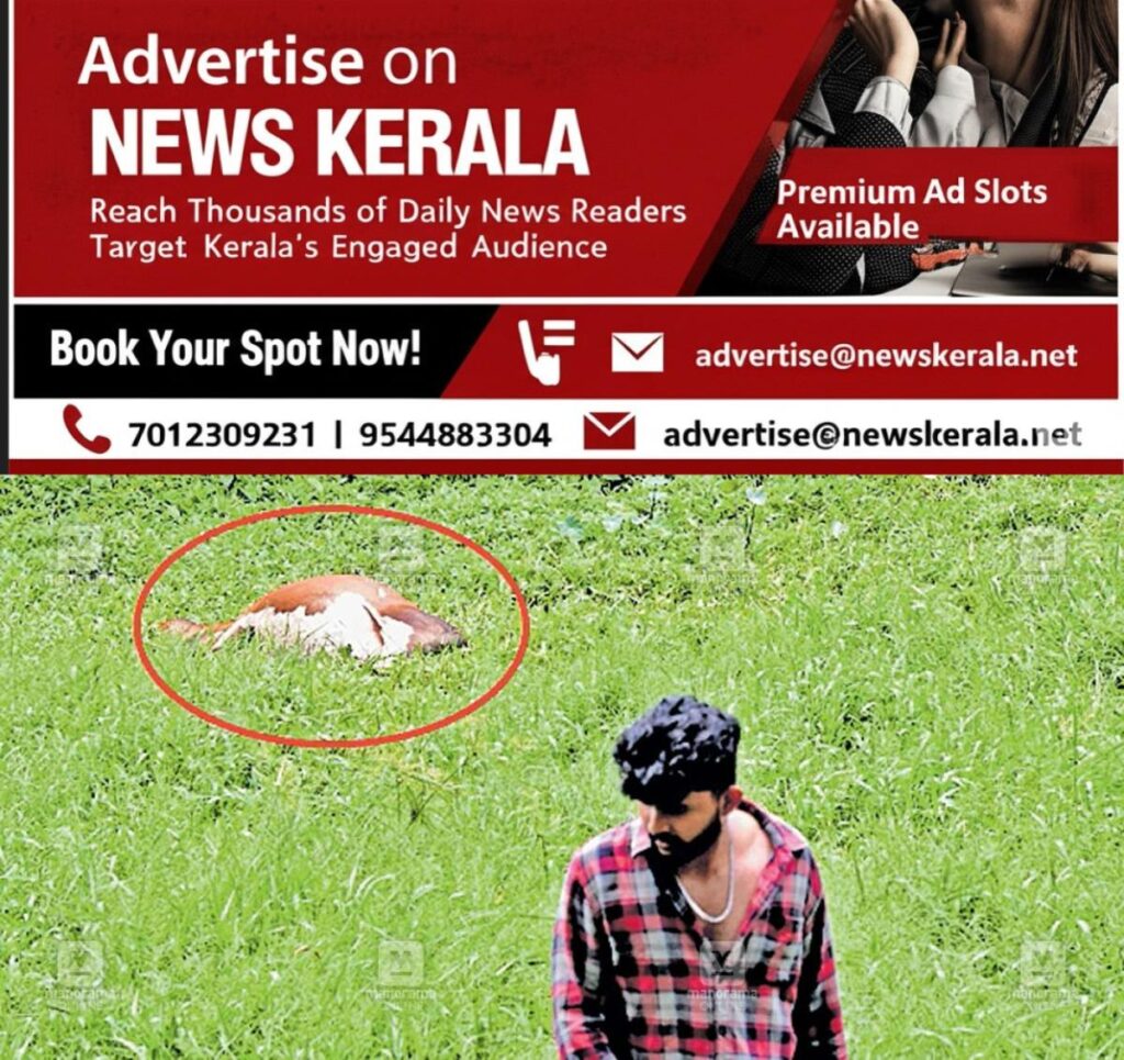 newskerala.net_1753780559_1753780295_electric-line-issue