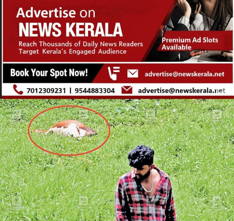 newskerala.net_1753780559_1753780295_electric-line-issue