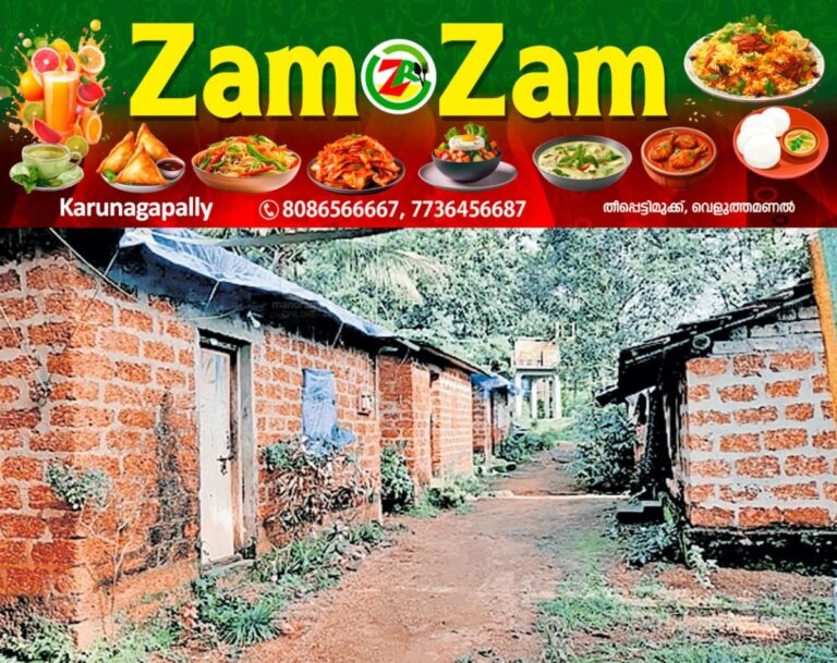 newskerala.net_1753845444_karinthalam-land-pattayam-resolved