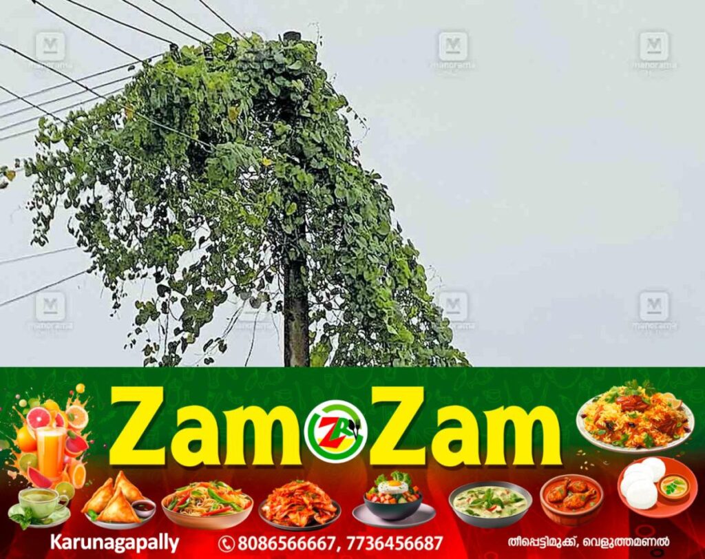newskerala.net_1753857344_vizhinjam-ramasan-kulam-kseb-line