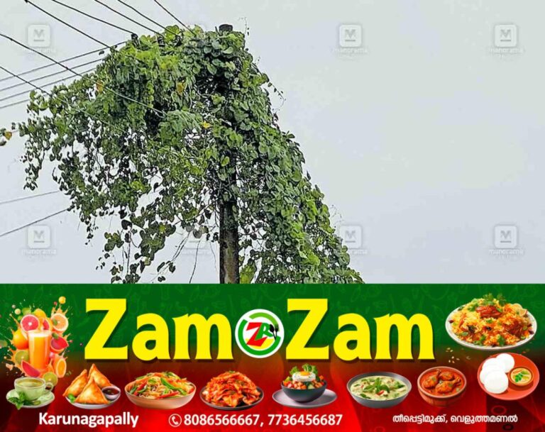 newskerala.net_1753857344_vizhinjam-ramasan-kulam-kseb-line