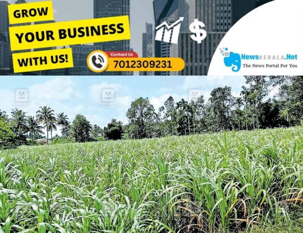 newskerala.net_1753861213_jagery-field