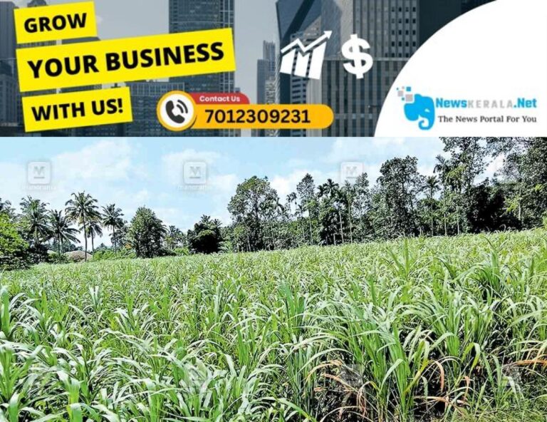 newskerala.net_1753861213_jagery-field