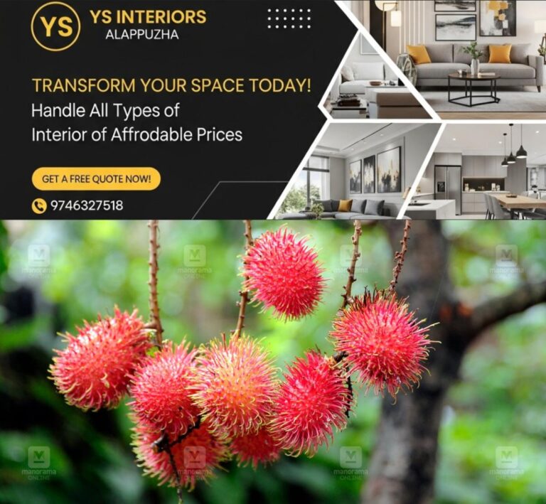 newskerala.net_1753864152_rambutan-fruit-1