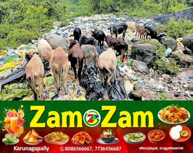 newskerala.net_1753864278_ernakulam-waste-dumping-malayattoor