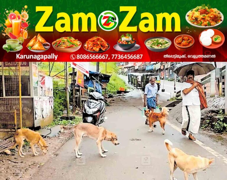 newskerala.net_1753872632_idukki-stray-dogs