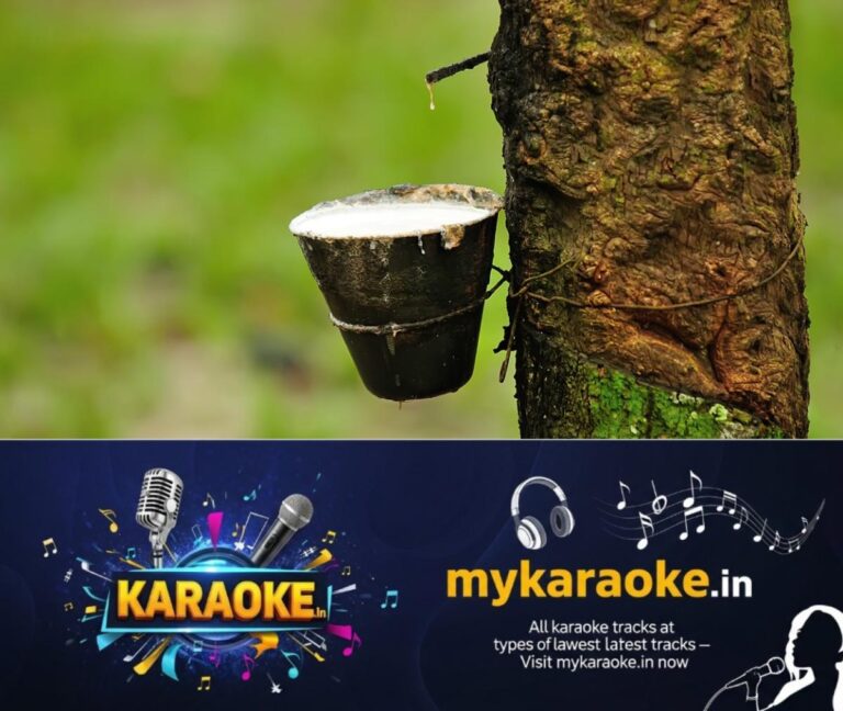 newskerala.net_1753953917_rubber-main-1248