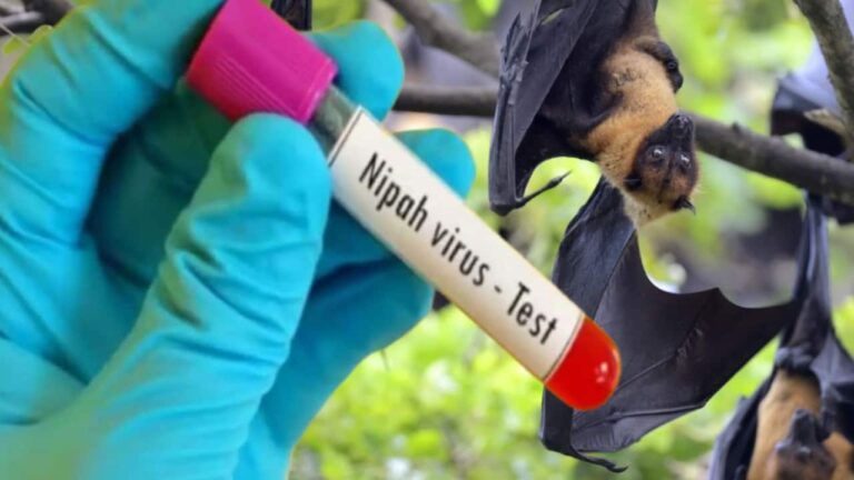 nipah-virus-in-kerala-1751613204291_1280x720xt.jpg