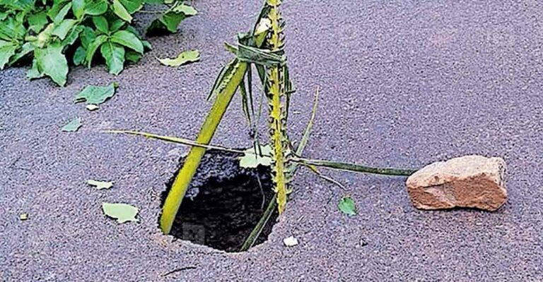 ottapalam-road-damage.jpg