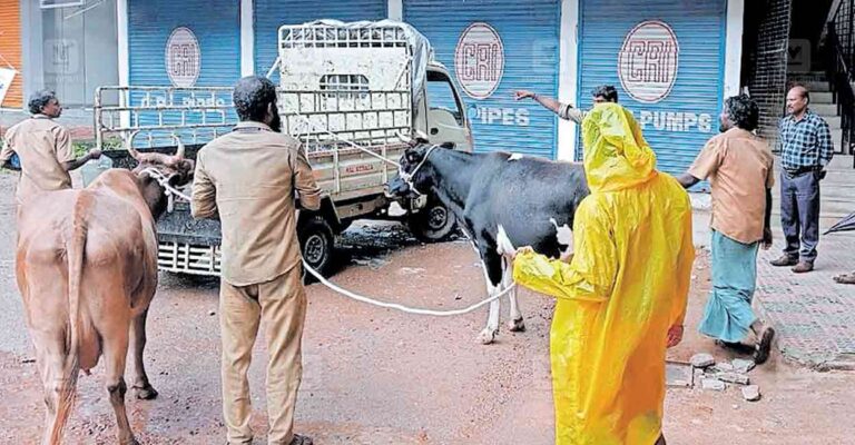 palakkad-cattle-control.jpg