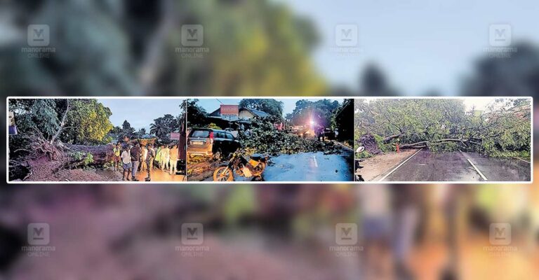 palakkad-pollachi-road.jpg
