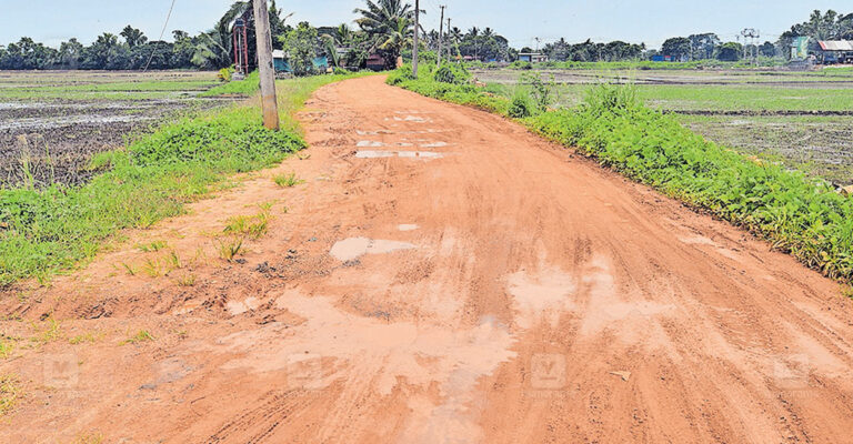 pallathuruthi-road-issues.jpg