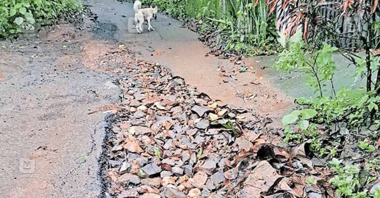 pallipaddy-road.jpg