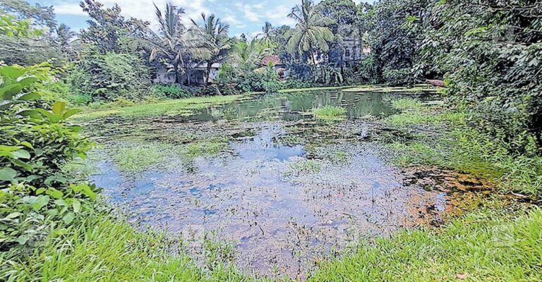 pandom-kulam.jpg