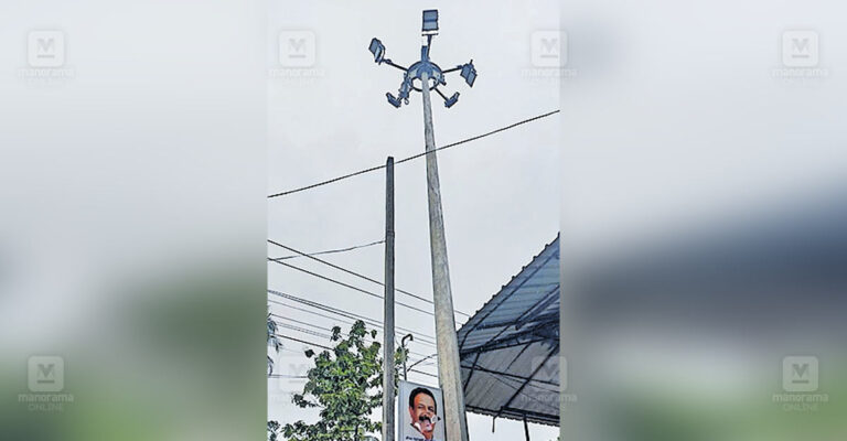 panniyoor-mini-mast-light-vandalized.jpg